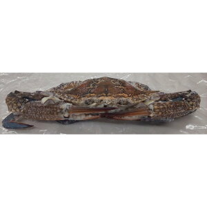 Ⓚ@nIiہj10kgiC100-150gA150-200gA200-300geTCYjkg1,355~iŕʁjƖp@C