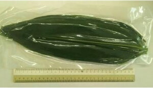 �����Y�@���̗t�@�������@2L�@100��×30P�iP460�~�ŕʁj������34-36cm×��8-10cm�@�퉷�@�Ɩ��p�@�����C