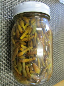  VρiFj450g(Ō`210g)×15{i{1370~ŕʁjC@Ɩp i