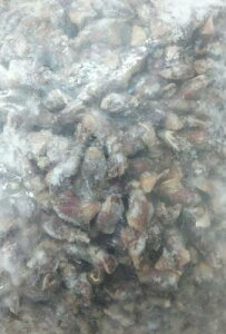 {Cz^iڎj1kgx10PiP2,650~/330jƖp@C