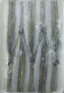 Mp@TJ 500gi20jx24PiP1560~ŕʁjƖp@C