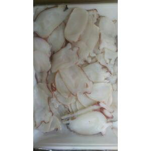 kCY@hgpiؗj500g×20PiP1795~ŕʁjƖp@C@@