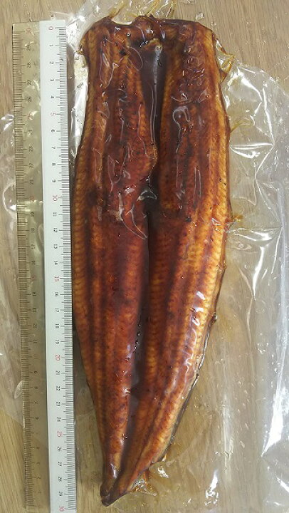 楽天市場】涼水に郷 炭火焼うなぎ蒲焼 10kg(30尾)業務用 冷凍 こだわり 無頭 業務用 ヤヨイ : 品揃え豊富!業務用食品問屋ヤヨイ 楽天市場】涼水に郷 炭火焼うなぎ蒲焼 10kg(30尾)業務用 冷凍 こだわり 無頭 業務用 ヤヨイ : 品揃え豊富!業務用食品問屋ヤヨイ