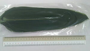 ���̗t�@���Ȃ��@M�@100���^��×60P�iP440�~�ŕʁj�퉷�@�Ɩ��p�@�����C