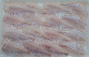 YimYjctB[@hgp@40Pi15g×16jP1,350ŕʁ@Ⓚ@Ɩp@C