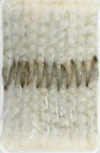 Ό@ tL΂CVioiCj16-20@20×30PiP840~ŕʁjⓀ@Ɩp@C