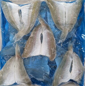 m[XC@CgJ@500gi20j×20PiP980~ŕʁjMp@Ɩp@C