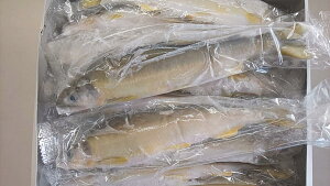 Y@@1KgiKg18`20jx10i2,800~ŕʁjⓀ@C@Ɩp