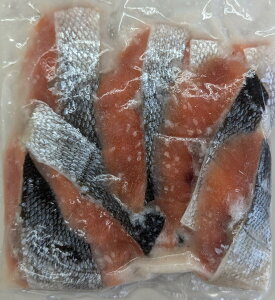 kCY@HЂ@400gi40gx10؁jx30PiP1,370~ŕʁjⓀ@Ɩp@C