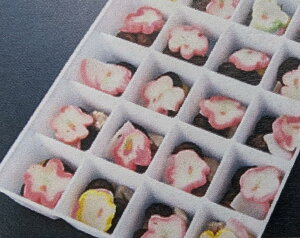֗Hށ@q̋@p@20H×14PiP1,430~jⓀ@Ɩp@C