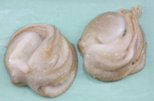 ʓ@@z[N[@1Kg×10PiP1,650~ŕʁj25`40g@Ɩp@C