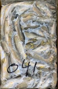 Y@@Bi@3Kgx40PiP8,100~ŕʁjⓀ@Ɩp@C