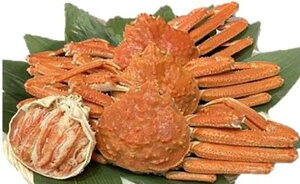北海道産 大ボイルずわい蟹(姿)3kg(6〜7尾)(kg5,000円税別)限定品 業務用 ヤヨイ
