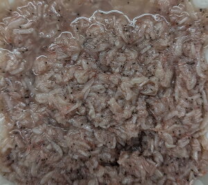 Y@݉h@1Kg×12PiP1,300~ŕʁji@Ɩp@C