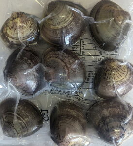 Y@^kti͂܂j2L@500gi9jx20PiP780~ŕʁjⓀ@Ɩp@C@i