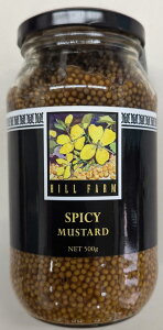 qt@[@XpCV[E}X^[h@500g×12{i{2,540~ŕʁj퉷@Ɩp@C