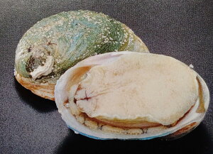 I[XgAY@kt鸁@O[bv@2L@1Kgi10j×10PiP6,370~ŕʁjⓀ@H@Ɩp@C