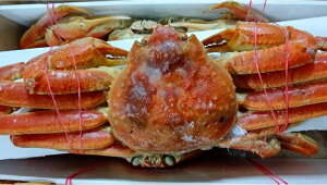 H@{CYCKj@p@3kgi5jkg5,100~ŕʁ@Ɩp@C@󂠂