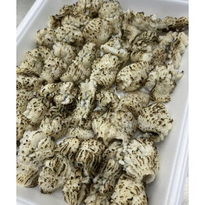 YiQEɌjVR@@(t薔͓)@500gi15gjx20PiP2,400~ŕʁjⓀ@Ɩp@C