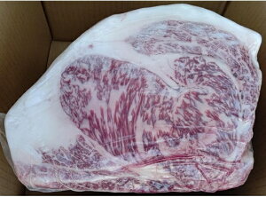 јa@ˋA5N@[XubNiT[C11kg{u[X10kgj@21kg@kg9100~ŕʁ@①@Ɩp@C