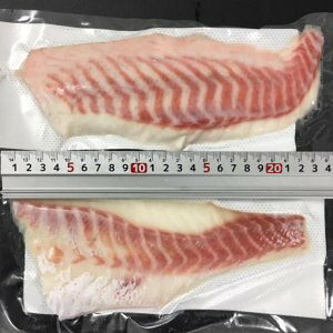 国産 養殖 真鯛ロイン又はフィーレ 1kg×12P(P3,100円税別) 皮無し背腹込み真空 焼物用 業務用 ヤヨイ