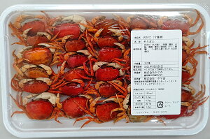 Md@򂩂ɊØIρ@Ⓚ@30Cx24PiP1,800~ŕʁjY@Ɩp@C