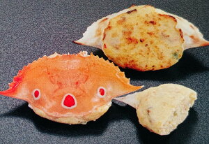 Ă@nIfā@12x20PiP2,020~ŕʁjƖp@C