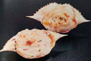 Ă@nIN[O^@8x20PiP1,520~ŕʁjƖp@C