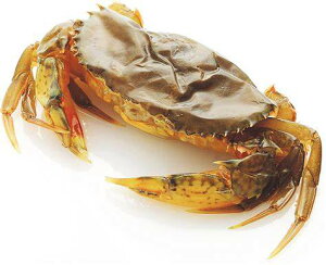 EI@\tgVFNu@50-70g@1Kg×10PiP3,840~jƖp@C@LɊeTCYi70`120gjLɋLڒłB