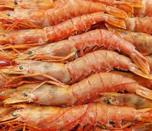 生食用 アルゼンチン 赤海老(L1サイズKg10〜20尾)2Kg×6P(P3,800円税別)業務用 ヤヨイ 下記に各サイズ記載中