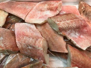 COY@@ԋ@ؐg@60g×200i90~ŕʁjⓀ@Mp@Ɩp@C@LɊeTCYi70`80gjLڒ