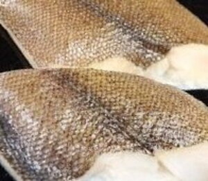 COY@@JC@ؐg@60g×240i102~ŕʁjⓀ@Ɩp@C@LɊeTCYi70`80gjLڂĒĂ܂B