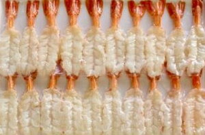 il^p@ԊCVA[`J@7L@20×40PiP1,160~ŕʁjƖp@C@8LLɋLڒłB