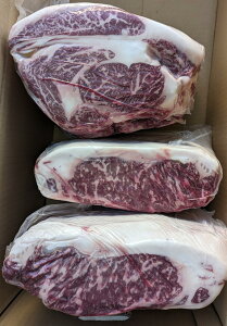 Y@G[XiT[Cu[XjubN@20kgikg6,500~ŕʁjƖp@C