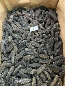 【超高級珍味】干しなまこ キンコ M〜2L 1Kg(Kg225,000円税別)冷凍 業務用 ヤヨイ