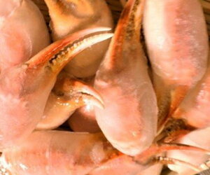 ボイルずわい蟹 2本爪ポーション 1Kg(Kg41-60個)×12P(P4,000円税別)各サイズ下記に記載中 冷凍 業務用 ヤヨイ 激安
