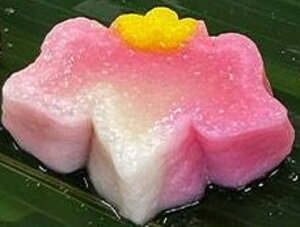 @n@sN@@20{×8i5,000~ŕʁj{U2cm×19cm@@Ⓚ@Ɩp@C