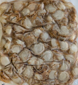 YiXYj{C@1Kgi80/100j×10PiP3,380~ŕʁjⓀ@Ɩp@C