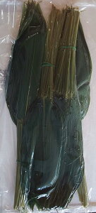 Y@̗t@^@MSi}tj200×13PiP3,600~ŕʁj퉷@Ɩp@C