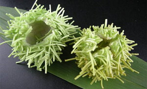 g@IikE΁j15×24PiP1,270~ŕʁjⓀ@Ɩp@C