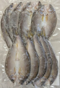 銱@10i25g^14cmOj×20PiP1,950~ŕʁjYH@䊱@Ⓚ@Ɩp@C