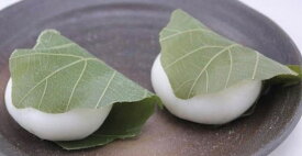 冷凍和菓子　かしわ餅　大　12個（個50g）x22P（P780円税別）冷凍　業務用　ヤヨイ