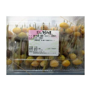 gtiǂނtj36i44~j×20PiP1,584~ŕʁjⓀ@Ɩp@C