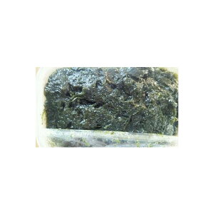 小鉢 青岩のりくらげ 1kgx10P(P3380円税別)お徳用 業務用 ヤヨイ 青のり