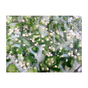 小鉢 いかおくら 1kgx10P(P1190円税別)お徳用 業務用 ヤヨイ 激安