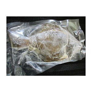 g@JCO낵ipj10x10PiP2370~ŕʁjƖp@C