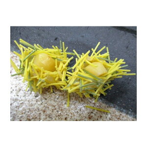 g@~jI22×24piP1000~ŕʁjƖp@C@R