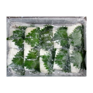 g@Ⓚ@t@20i127gj×20Pip1716~ŕʁjƖp@C@s