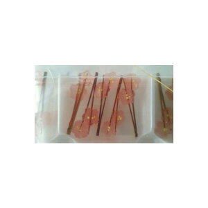 O؁@Vt@26{x24PiP988~ŕʁj@Ɩp@C