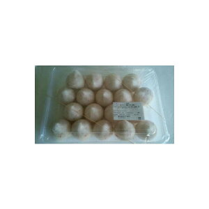 RH@Ɋ@18i40gjx16PiP1162~ŕʁj@Ɩp@C